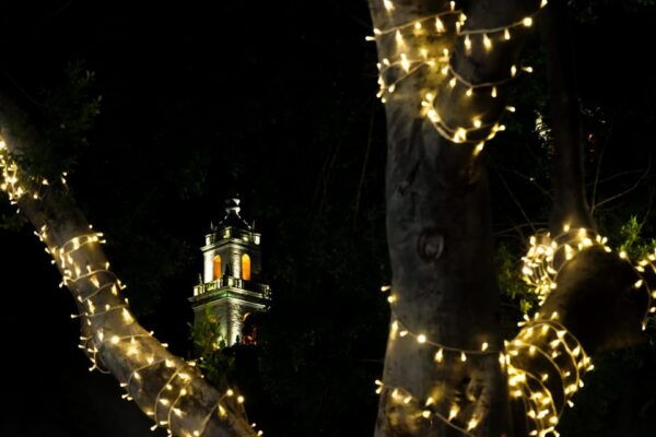 Yuletide in Mérida: A Journey Through Holiday Splendor - Elegant Promenade