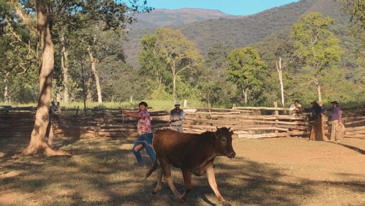 Yungas : Full Day With Gauchos - Experience Highlights
