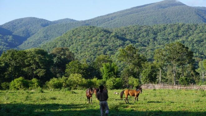 Yungas : Full Day With Gauchos - Transfer Inc. From Salta - Wildlife Encounter and Picnic