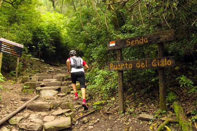 Yungas Half-Day Tour From Tucuman - Tour Highlights