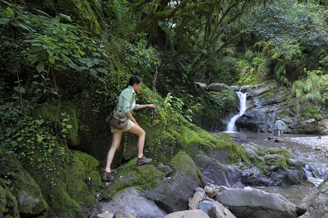 Yungas Half-Day Tour From Tucuman - Inclusions