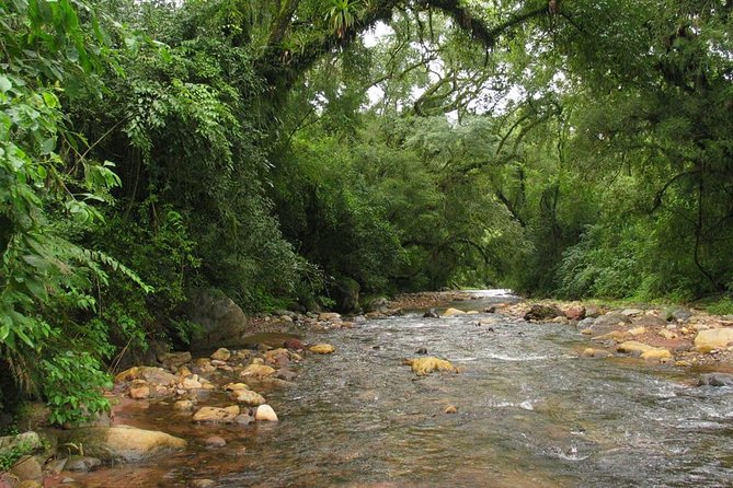 Yungas Half-Day Tour From Tucuman - Frequently Asked Questions