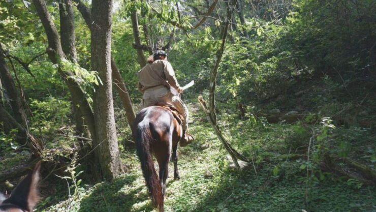 Yungas : Horseback Riding in the Jungle Picnic - Activity Overview