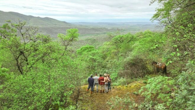 Yungas : Horseback Riding in the Jungle Picnic - Booking Information