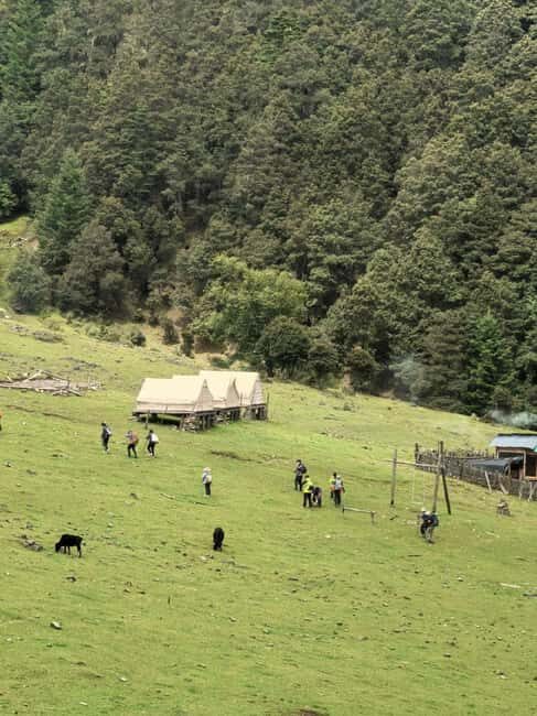 Yunnan: 2-Day Tour to Haba and Black Sea Lake - Good To Know