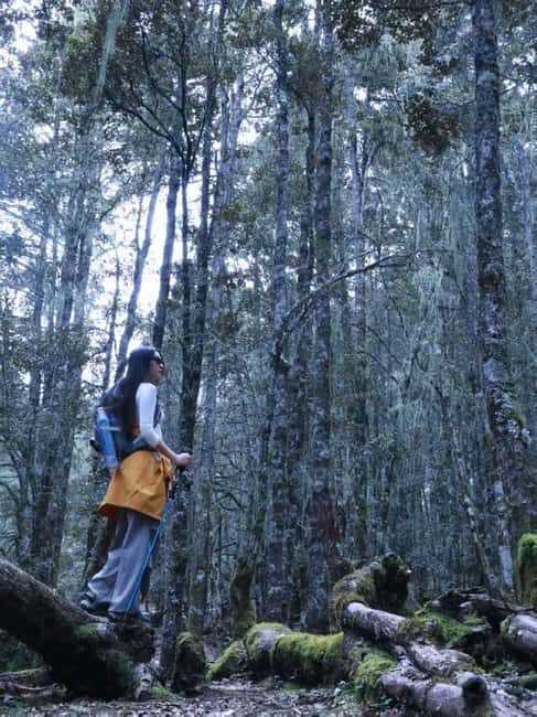 Yunnan: 3-Day Hiking Tour of Haba Snow Mountain - Good To Know