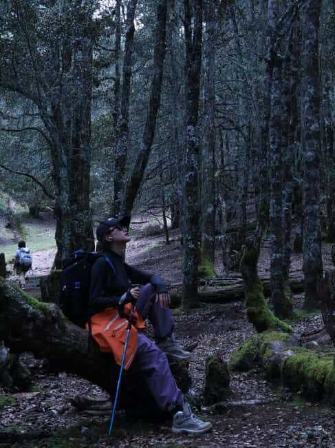 Yunnan: 3-Day Hiking Tour of Haba Snow Mountain - Practical Insights for Future Travelers