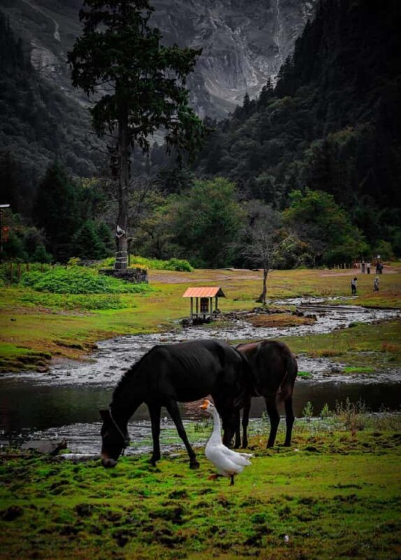 Yunnan: 4-Day Hiking Tour of Yubeng and Meili Snow Mountain - Additional Info and Tips