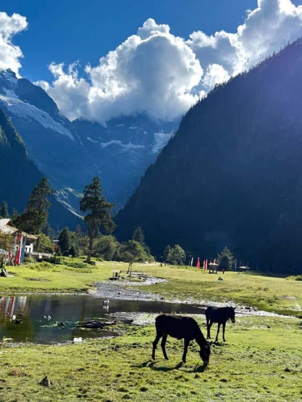 Yunnan: 4-Day Hiking Tour of Yubeng and Meili Snow Mountain - Good To Know