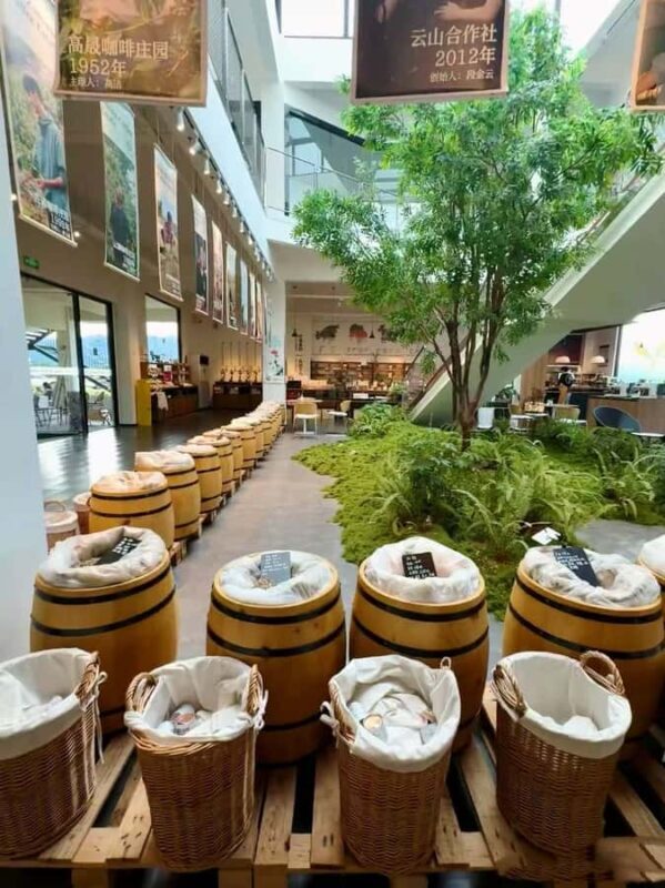 Yunnan Coffee Valley | Half-Day Road Trip - An In-Depth Look: What to Expect from the Yunnan Coffee Valley Tour