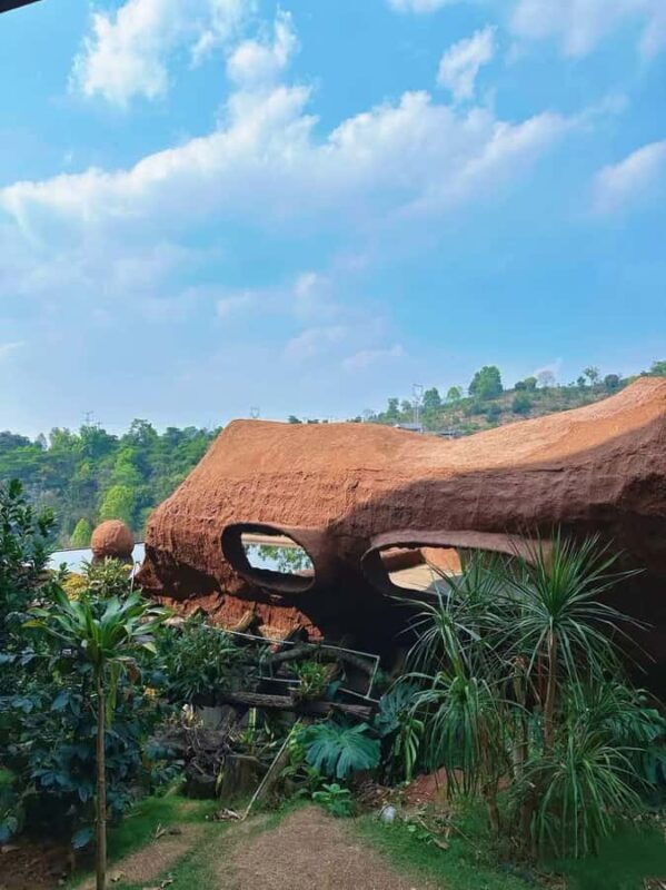 Yunnan Coffee Valley | Half-Day Road Trip - Who Will Enjoy This Tour?