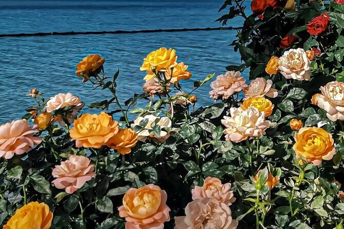 Yunnan Dali Erhai 3 Pagodas of Chongsheng Temple One Day Tour - What We Loved and Considerations