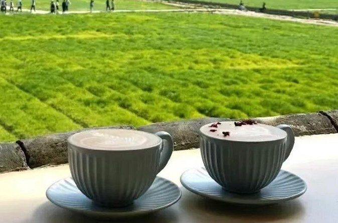 Yunnan Dali Erhai 3 Pagodas of Chongsheng Temple One Day Tour - Who Is This Tour Perfect For?