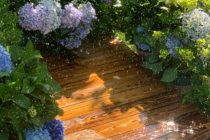 Yunnan Dali Erhai 3 Pagodas of Chongsheng Temple One Day Tour - Exploring Dali’s Natural and Cultural Highlights