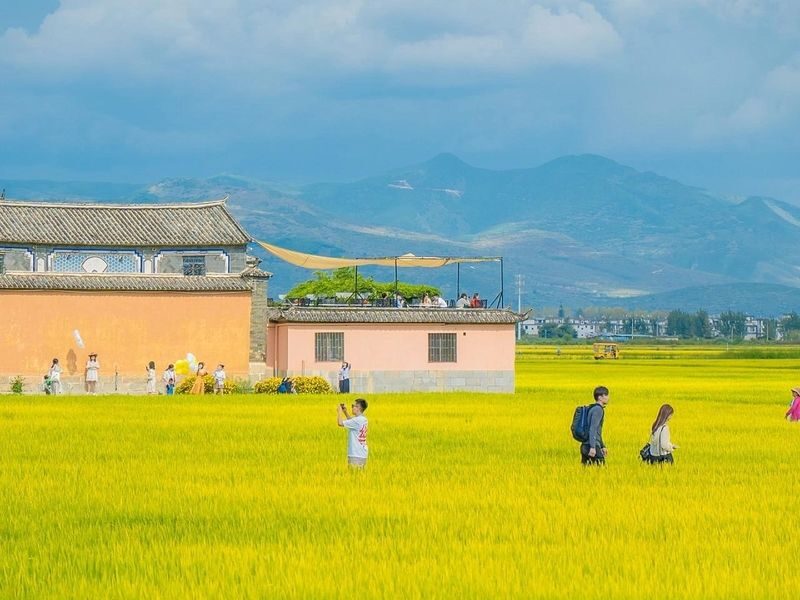 Yunnan Kunming & Dali & Lijiang 6-Day Tour (Includes Travel Photography + Aerial Photography Dual Experience) - Day 2: Stone Forest’s limestone maze