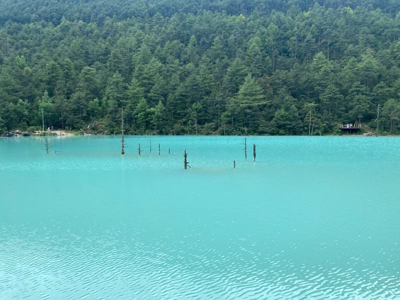 Yunnan Kunming & Dali & Lijiang 6-Day Tour (Includes Travel Photography + Aerial Photography Dual Experience) - Day 5: Shuhe, then the long ride back