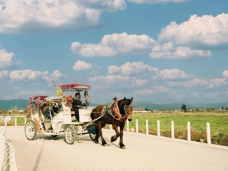 Yunnan Kunming & Dali & Lijiang 6-Day Tour (Includes Travel Photography + Aerial Photography Dual Experience) - Comfort, hotels and what the price covers