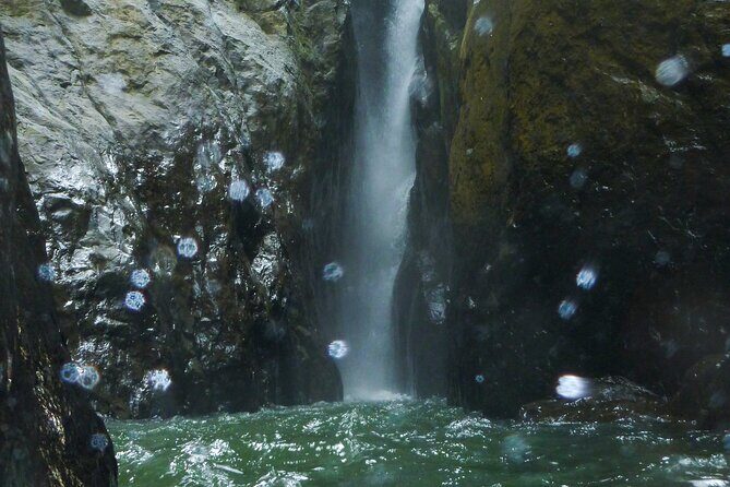Yunque & Piñones Tour Hike Eat & Adventure with a Local; San Juan - Practical Details and Considerations