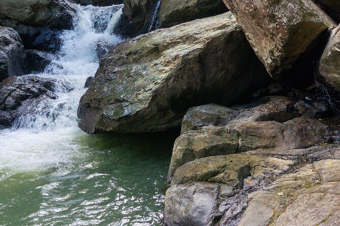 Yunque & Piñones Tour Hike Eat & Adventure with a Local; San Juan - The Sum Up