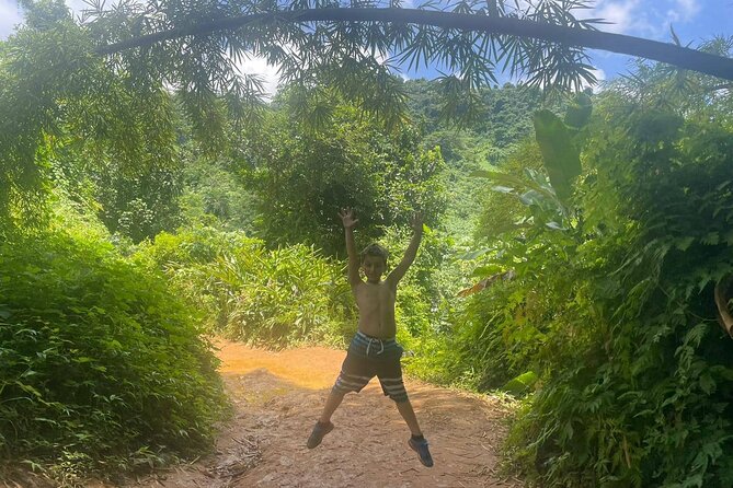Yunque Rainforest Private Tour in Puerto Rico - Cancellation Policy and Refunds