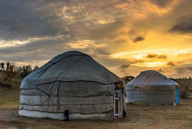 Yurt Camp Tour with Night from Bukhara - Practical Details & Tips