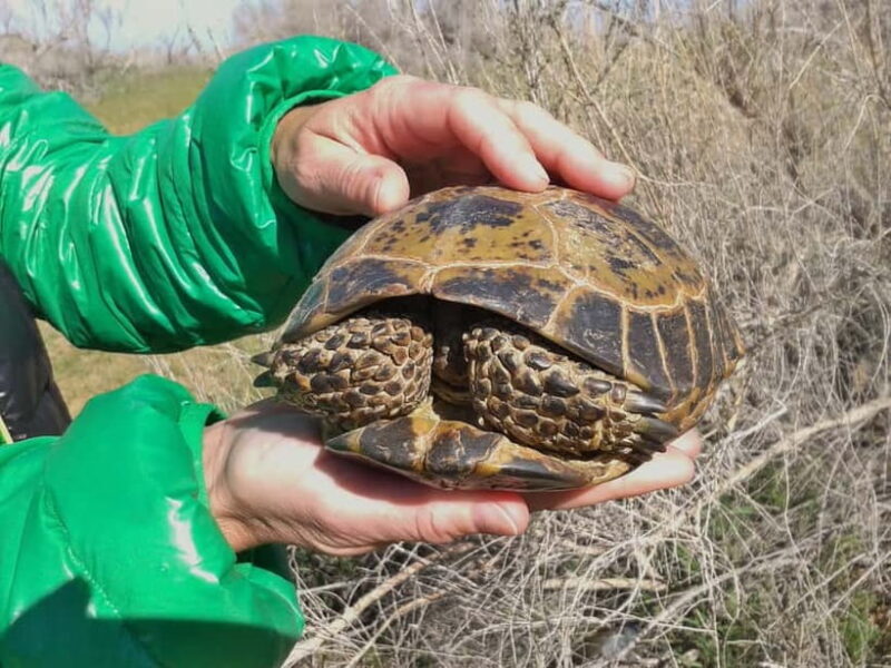 Yurt Camp Tour with Night from Bukhara - Authenticity, Value, and Who Will Love It