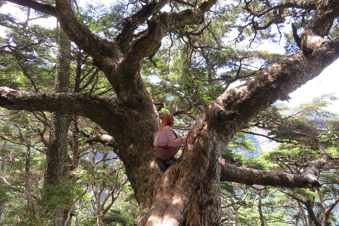 Yushan Main Peak Two Days and Two Nights Taiwans Highest Peak - Must-See Attractions and Landmarks at Yushan Main Peak