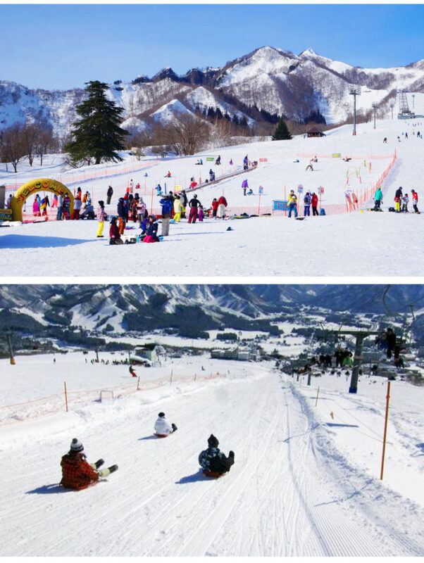 Yuzawa Iwappara Ski Resort Snow Play & Ski Day Trip (From Tokyo) - Choosing the right package