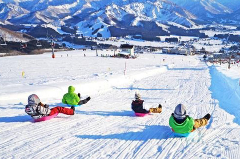 Yuzawa Iwappara Ski Resort Snow & Ski Day Trip from Tokyo - The useful details at a glance