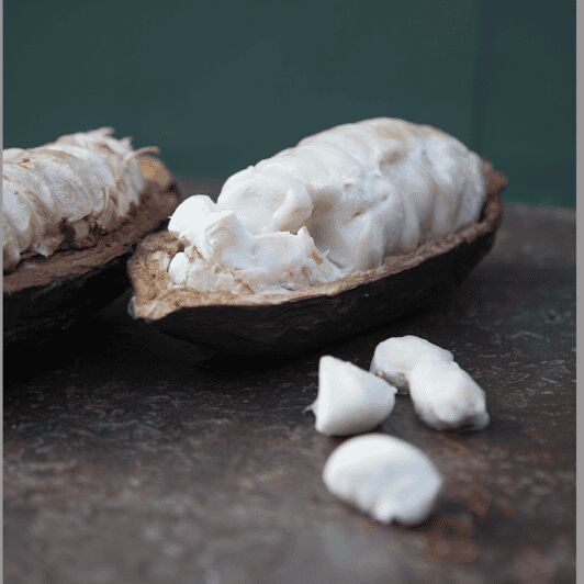 Zaandijk: Chocolate making demonstration & tasting - An In-Depth Look at the Chocolate Demo Experience