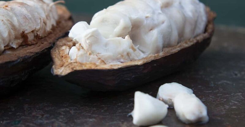 Zaandijk: Chocolate making demonstration & tasting - Who Should Consider This Experience?