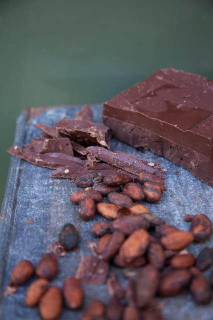 Zaandijk: Chocolate making demonstration & tasting - FAQs