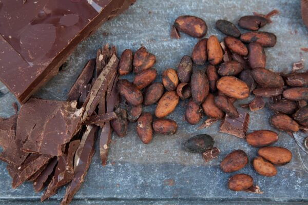 Zaandijk: Chocolate Walkabout Tour & Chocolate Tasting - Frequently Asked Questions
