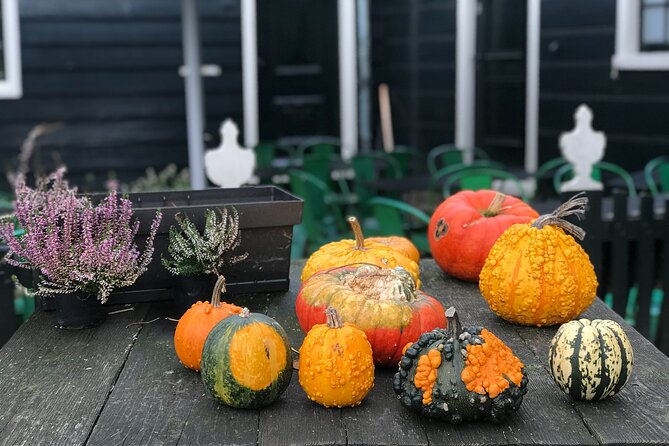 Zaanse Schans and Giethoorn Small-Group Tour With Hotel Pick up - Tour Itinerary