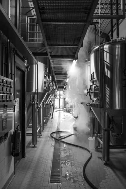 Zaanse Schans: Beer Tasting Experience at Brewery HOOP - Good To Know