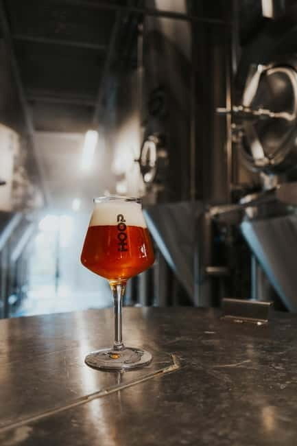 Zaanse Schans: Brewery HOOP Tour and Tasting - An In-Depth Look at Brouwerij HOOP Tour and Tasting
