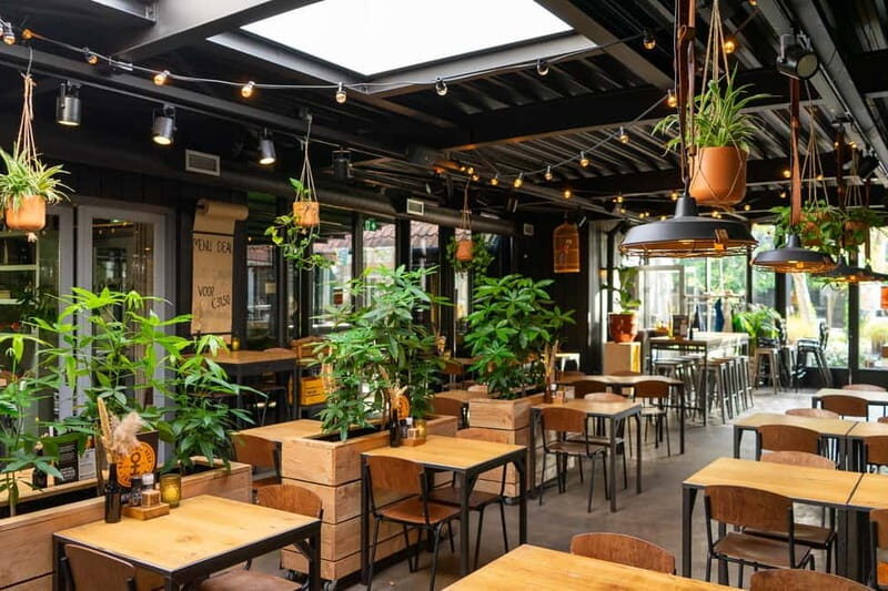 Zaanse Schans: Brewery HOOP Tour and Tasting - Final Thoughts