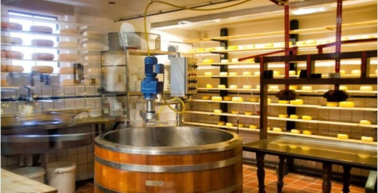 Zaanse Schans - Cheesefactory -Volendam, Private Tour. - Tour Highlights