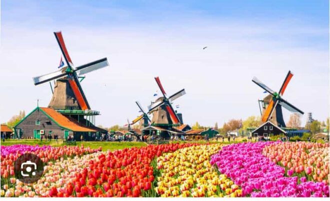 Zaanse Schans - Cheesefactory -Volendam, Private Tour. - Exploring Zaanse Schans