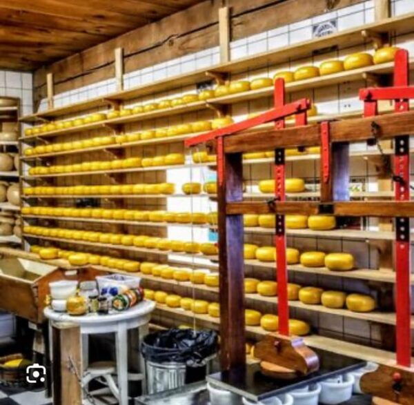 Zaanse Schans - Cheesefactory -Volendam, Private Tour. - Tour Inclusions