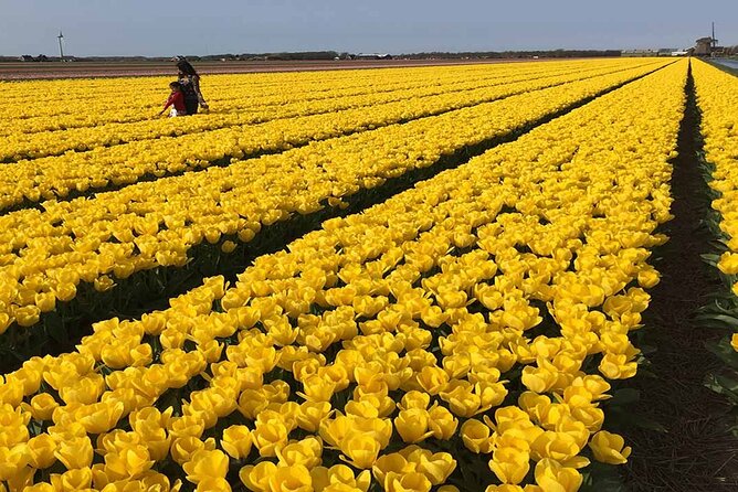 Zaanse Schans Windmills and Volendam Small-Group Tour From Amsterdam - Tour Details and Logistics