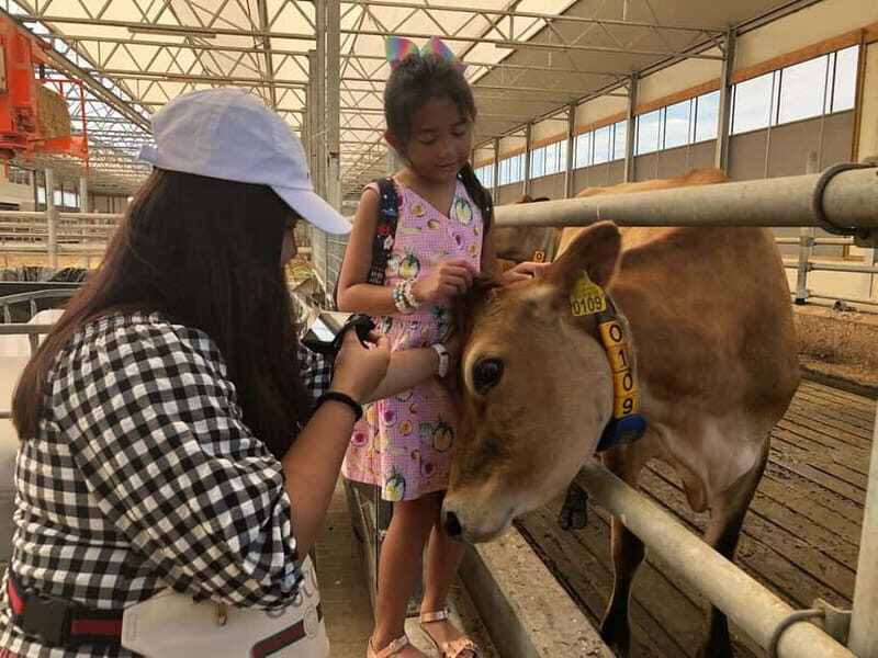 Zaanse Schans Windmills, Fishing Villages & Countryside - Authentic, Relaxed, and Personal