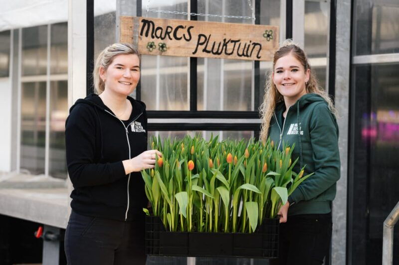 Zaanse Schans Windmills, Volendam and Tulip Greenhouse Tour - Frequently Asked Questions