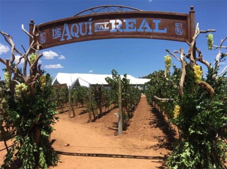 Zacatecas: Campo Real Winery Tour - Tour Overview