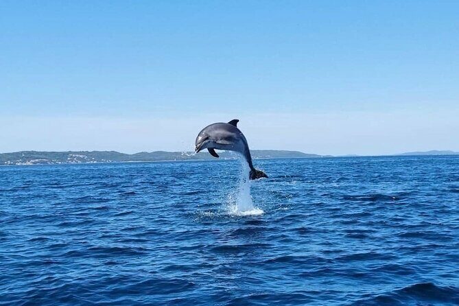 Zadar 1/2 Day Boat Tour with Skipper - What’s Included & What You Should Know Before Booking