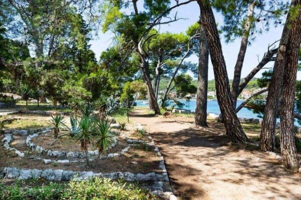 Zadar: 3 Islands Speedboat Tour With Snorkeling and Drinks - Important Restrictions