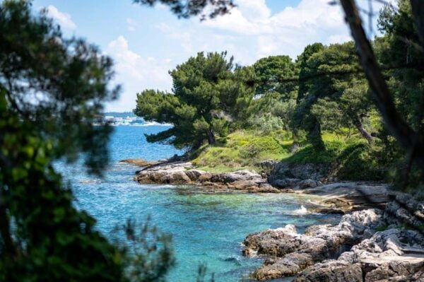 Zadar: 3 Islands Speedboat Tour With Snorkeling and Drinks - Parking and Directions