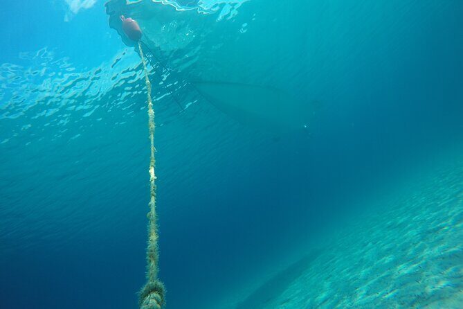 Zadar 3-Islands Tour: Snorkeling, Beach & Sightseeing - 4,5hr - The Sum Up