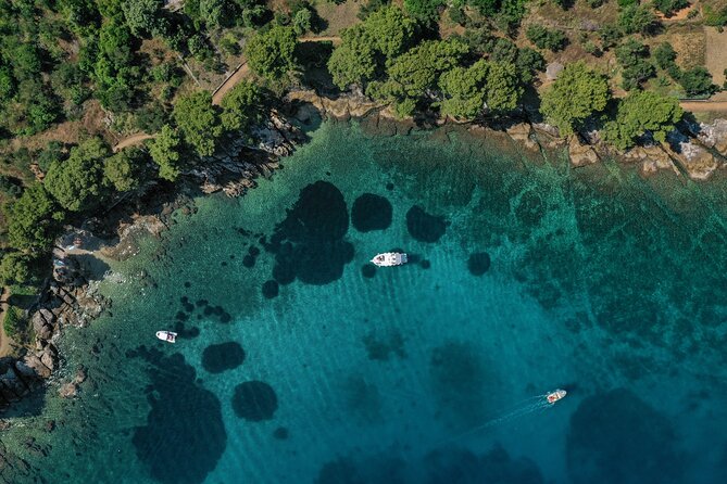 Zadar Archipelago Half-day Island-Hopping Private Boat Tour - Customer Reviews