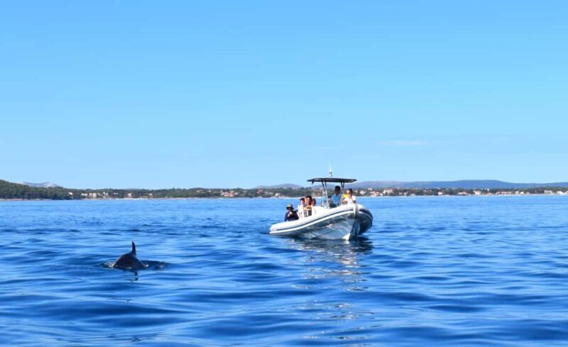 Zadar: Dugi Otok Island - 2x Snorkeling & Sandy Beach - 7 hr - Introduction: A Day of Snorkeling and Secluded Beaches in Dugi Otok